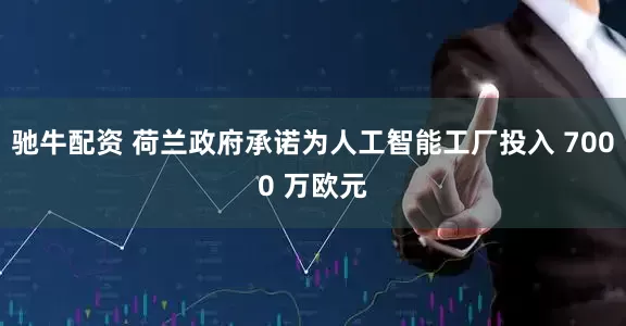 驰牛配资 荷兰政府承诺为人工智能工厂投入 7000 万欧元